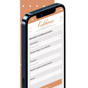 View Account Balances  and Transactions